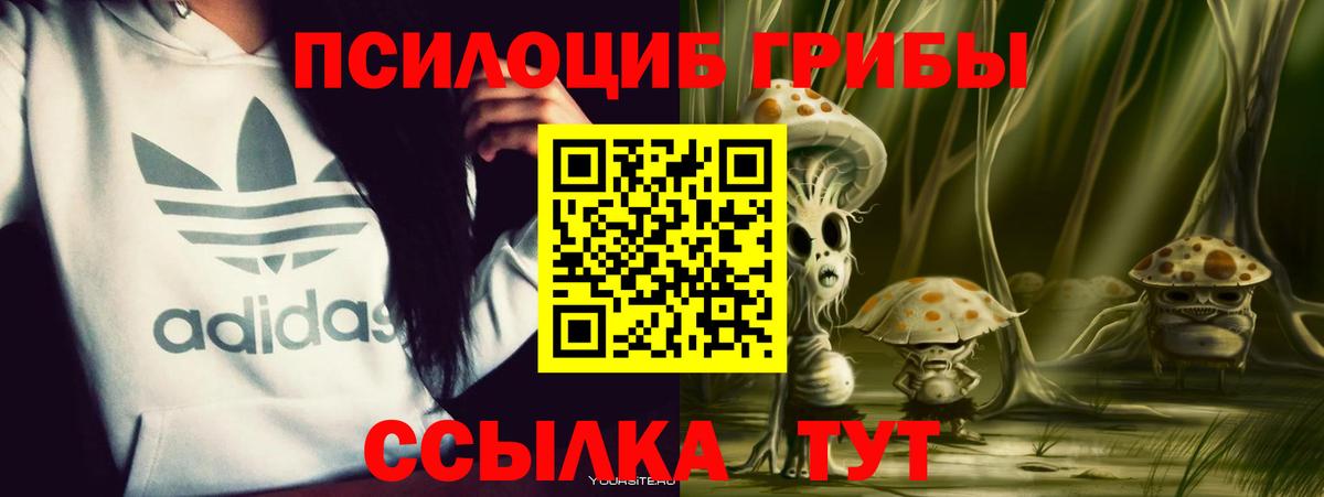 Псилоцибиновые грибы Psilocybine cubensis  Вход с VPN  Галлюциногенные грибы GOLDEN TEACHER  Назарово 